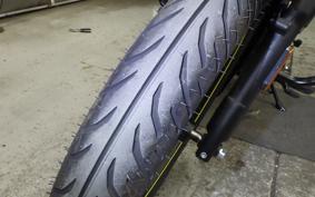 OTHER +ENFIELD ﾒﾃｵ350 2025