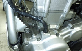 YAMAHA WR250R 2002 DG15J