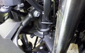 KAWASAKI NINJA 250 EX250L