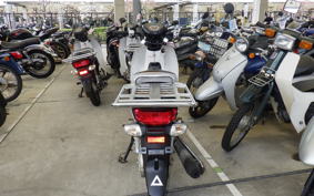 HONDA C110 SUPER CUB JA10
