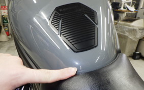 KAWASAKI ELIMINATOR400-3 2024 EL400A