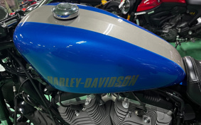 HARLEY XL1200CX 2019 LM3