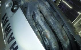 YAMAHA FZR400 R 1989 1WG