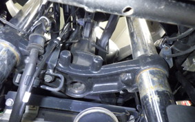 KAWASAKI NINJA 250 ABS EX250L