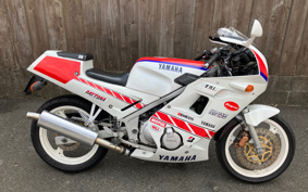 HONDA HAWK 11 2024 SC85