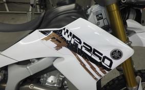 YAMAHA WR250R DG15J