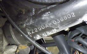 KAWASAKI Z250 FT 2009 KZ250A