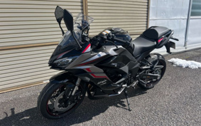KAWASAKI NINJA 1000 SX 2024 ZXT02K