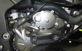KAWASAKI NINJA ZX-6R A 2019 ZX636G