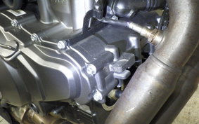 HARLEY X350 2024