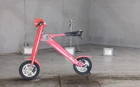 OTHER  BLAZE  SMART EV ..