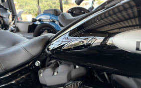 HARLEY FLHCS 2022 YBK