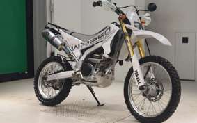 YAMAHA WR250R DG15J