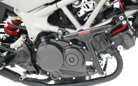 HONDA VTR 250 F MC33