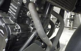 SUZUKI Vｽﾄﾛｰﾑ250A 2006