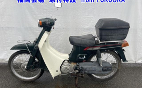 SUZUKI BIRDIE50