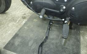 HARLEY XL1200NS 2019