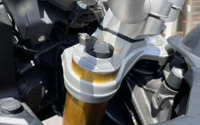 BMW S1000XR 2017 0D03