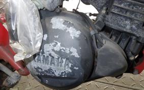 YAMAHA TY250 2013 53Y