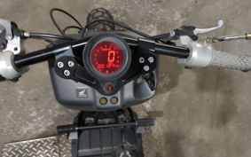 HONDA ZUMAR AF58