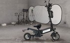 OTHER  ELECTRIC SCOOTER  I NO HOT  EKO GO- ..