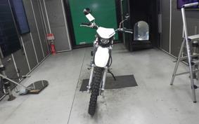 KAWASAKI SUPER SHERPA 2025 KL250G