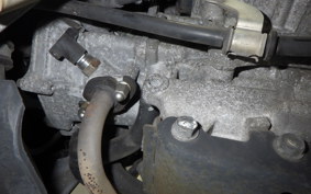 HONDA ZOOMER 2025 AF58