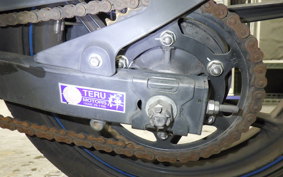 KAWASAKI NINJA 250R 2024 EX250K