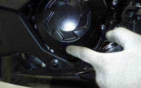 KAWASAKI NINJA 1000 SX 2024 ZXT02K