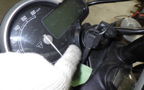 TRIUMPH SPEED400 2024