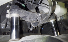 HONDA FORZA 250 2006 MF13