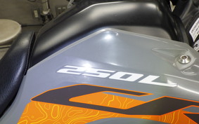 HONDA CRF250L 1999 MD47