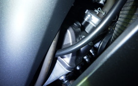 HONDA CBR600RR 2024 PC40