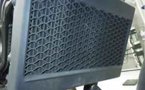 HONDA REBEL 250 2008 MC49