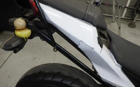 KAWASAKI Z250 2022 ER250C