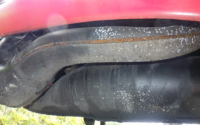 APRILIA RS250