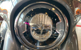 HARLEY FLSB 2021 YMJ