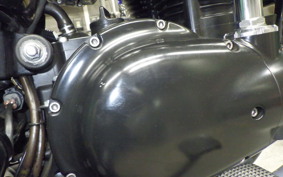 KAWASAKI W800 2012 EJ800A