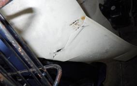 HONDA C50 SUPER CUB E 2012 AA01