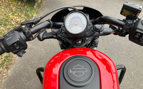 HARLEY RH975 NIGHT STAR 2022 ZH1