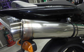 HONDA HORNET 250 2007 MC31