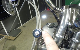 HARLEY FXDL 1580 2008