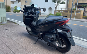 HONDA  FORZA 250 MF17