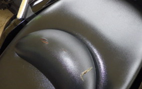YAMAHA MAXAM 250 SG21J