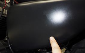 HARLEY XL883N 2021