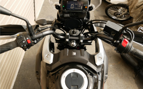 SUZUKI STROM 250ABS DS11A