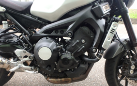 YAMAHA XSR900 2019 RN56J