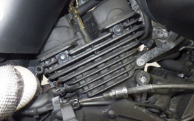 HONDA MAGNA 250 2006 MC29