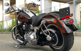 HARLEY FLSTF 2011 BX5