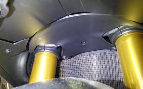 DUCATI SS937S 2019
